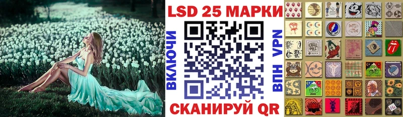 kraken вход  Шелехов  Марки N-bome 1,8мг  как найти закладки 
