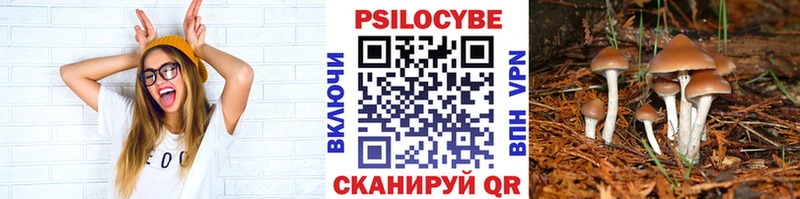 Псилоцибиновые грибы MAGIC MUSHROOMS  купить наркотики сайты  Шелехов 